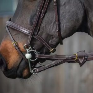 Dy'on D Collection 1/2" Converter Rubber Reins With 7 Leather Loops