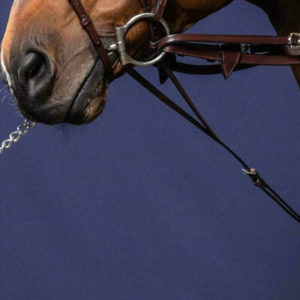 Dy'on New English Collection 1/2 Howlett Rubber Reins With 7 Leather Loops