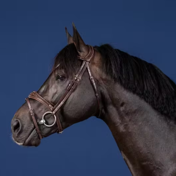 Dy'on US Jumping Collection Anatomic Flash Noseband Bridle