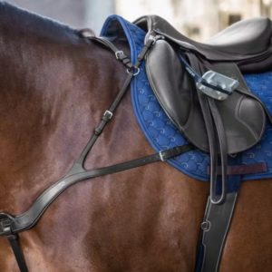 Dy'on New English Collection Anatomical Breastplate