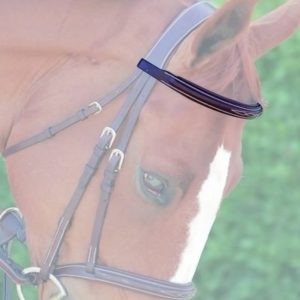 Dy'on D Collection Fancy Straight Browband