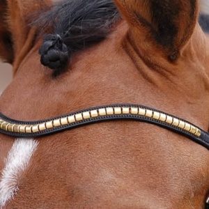 Dy'on D Collection Brass Clincher V Shaped Browband