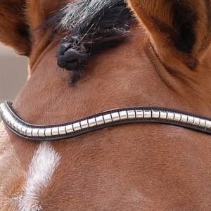 Dy'on New English Collection Silver Clincher V Shaped Browband