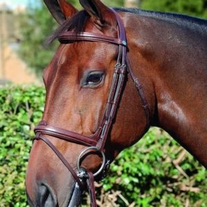 Dy'on New English Collection Flash Noseband Bridle