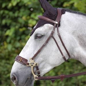 Dy'on New English Collection Hackamore Bridle