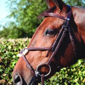 Dy'on New English Collection Figure 8 Noseband Bridle
