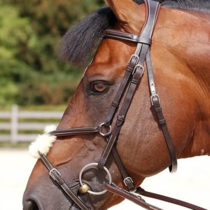 Dy'on Working Collection “Classic” Figure 8 Noseband Bridle