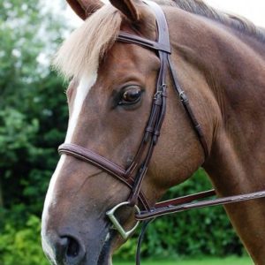 Dy'on Hunter Collection Cavesson Noseband Bridle