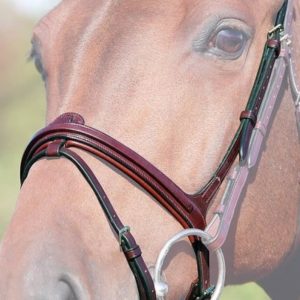 Dy'on New English Collection Flash Noseband