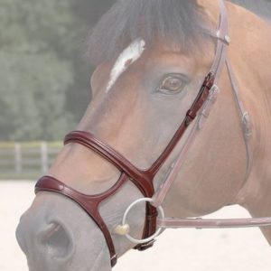 Dy'on New English Collection Double Noseband
