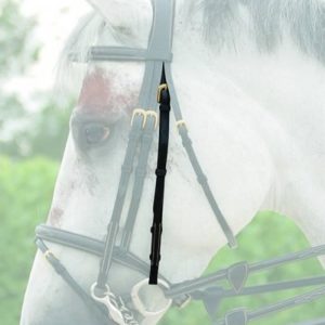 Dy'on D Collection Double Bridle Adaptable Cheek Pieces