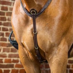 Dy'on D Collection Bridge Breastplate