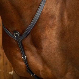 Dy'on Working Collection Bridge Breastplate