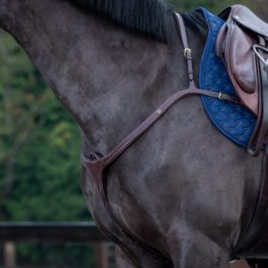 Dy'on D Collection Long Bridge Breastplate