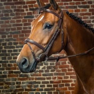 Dy'on D Collection Flash Noseband Bridle