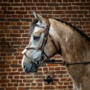 Dy'on D Collection Figure 8 Noseband Bridle