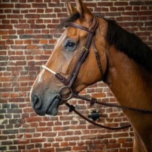 Dy'on D Collection Rope Noseband Bridle