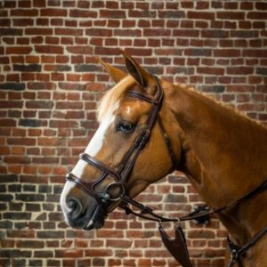 Dy'on D Collection Double Noseband Bridle