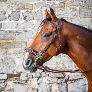 Dy'on D Collection Hackamore Bridle