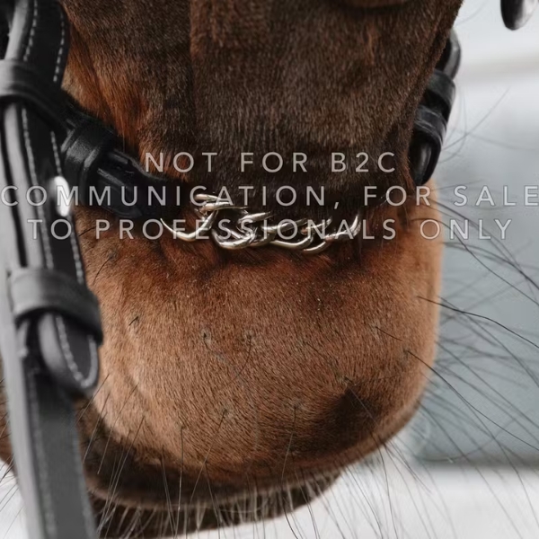 Dy'on Drop Noseband with Chain - Image 2