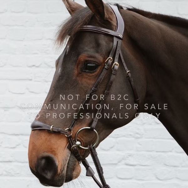 Dy'on Drop Noseband with Chain - Image 3