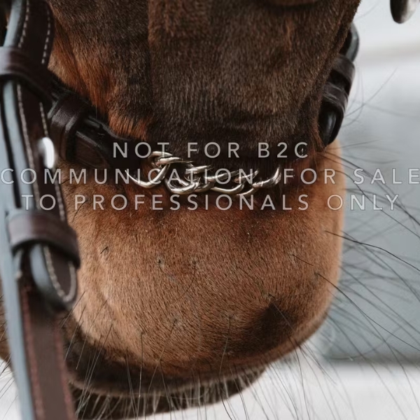 Dy'on Drop Noseband with Chain - Image 4