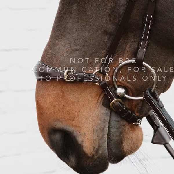 Dy'on Drop Noseband with Chain - Image 5