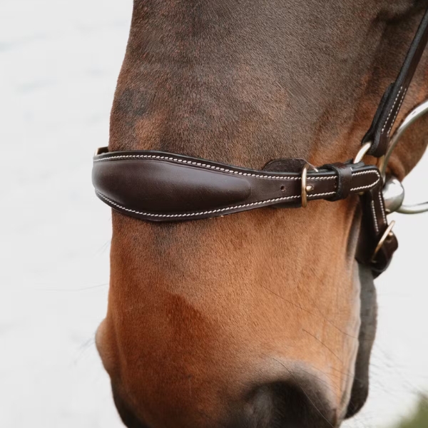 Dy'on Drop Noseband with Chain - Image 6