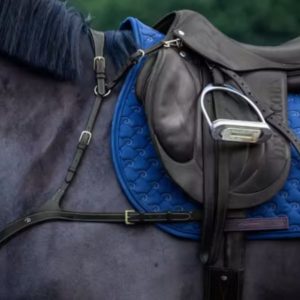 Dy'on D Collection Anatomical Breastplate