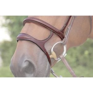 Dy'on D Collection Double Noseband
