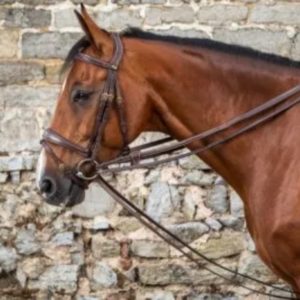 Dy'on D Collection Leather Draw Reins