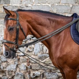 Dy'on D Collection Leather/Nylon Draw Reins 5/8"