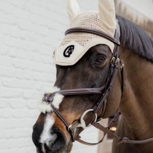 Dy'on D Collection Plaited Figure 8 Noseband Bridle