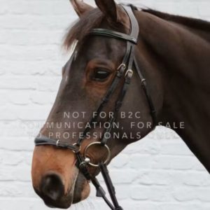 Dy'on Drop Noseband with Chain