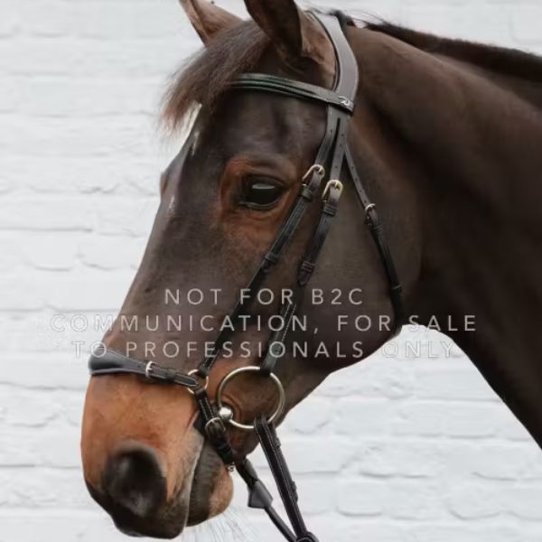 Dy'on Drop Noseband with Chain