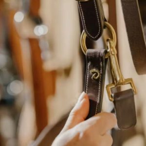 Dy'on Leather Halter