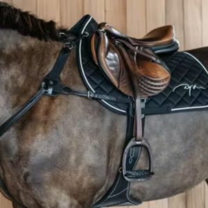 Dy'on New English Collection 5 Points Breastplate with Elastic