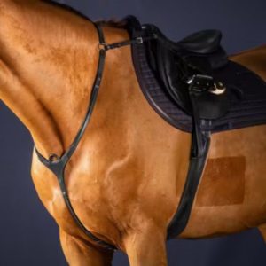 Dy'on New English Collection Bridge Breastplate