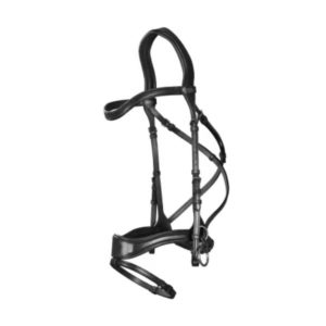 Dy'on New English Collection D Motion Bridle