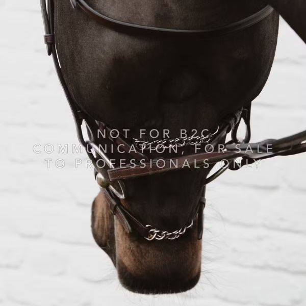 Dy'on New English Collection Figure 8 Noseband with Chain - Image 2