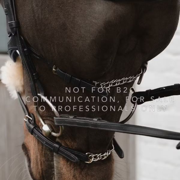 Dy'on New English Collection Figure 8 Noseband with Chain - Image 3