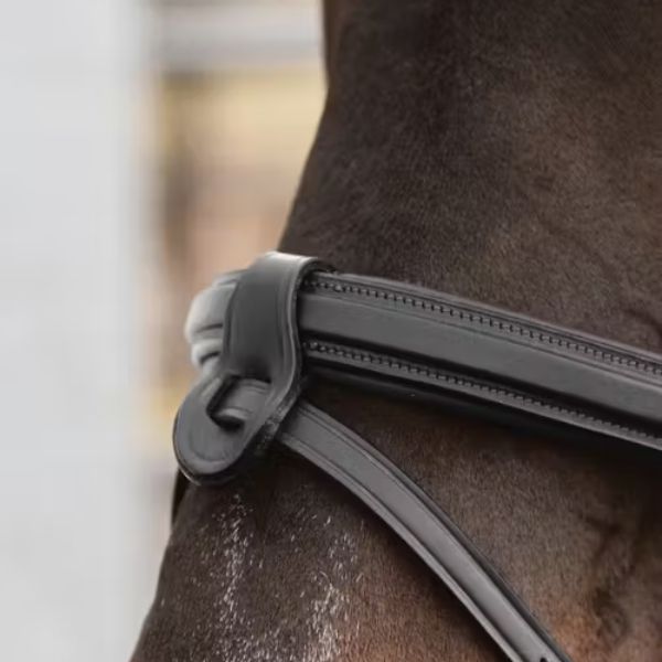 Dy'on New English Collection Flash Nosestrap 1/2" with 2 Removable Attachments with Chain