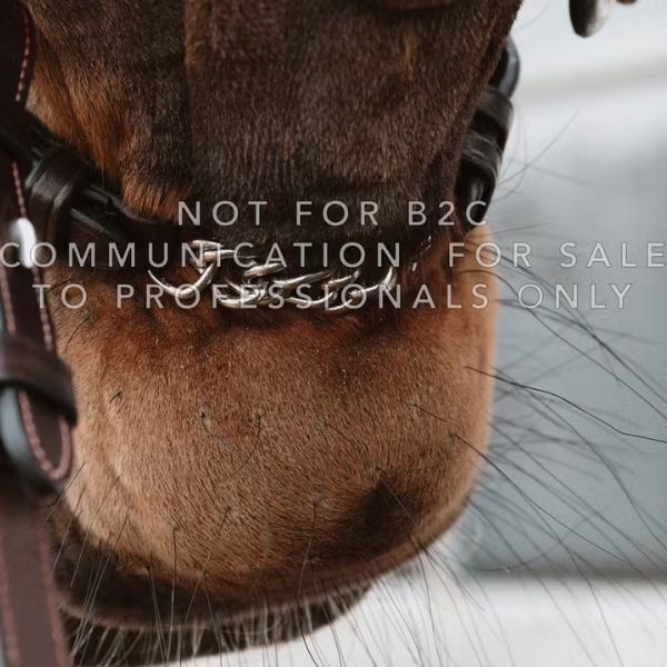 Dy'on New English Collection Flash Nosestrap 1/2" with 2 Removable Attachments with Chain - Image 3