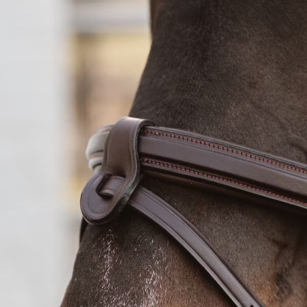 Dy'on New English Collection Flash Nosestrap 1/2" with 2 Removable Attachments with Chain - Image 4