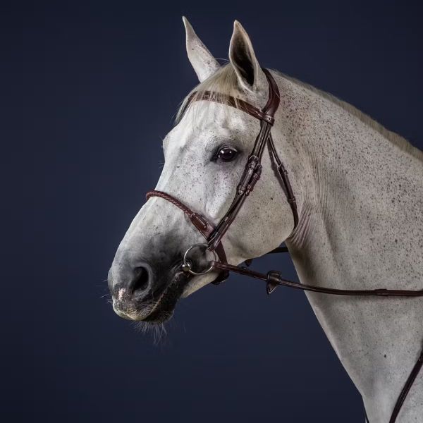 Dy'on New English Collection Leather Covered Rope Noseband Bridle - Image 2