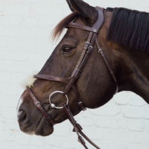 Dy'on New English Collection Plaited Fig 8 Noseband