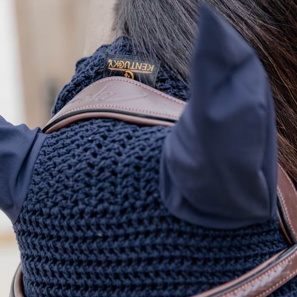 Dy'on New English Collection Plaited Figure 8 Noseband Bridle - Image 5