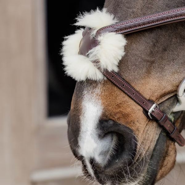 Dy'on New English Collection Plaited Figure 8 Noseband Bridle - Image 6