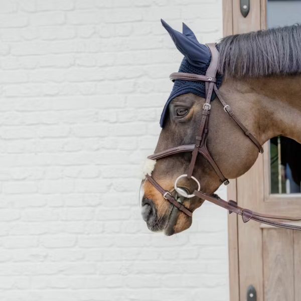 Dy'on New English Collection Plaited Figure 8 Noseband Bridle - Image 3