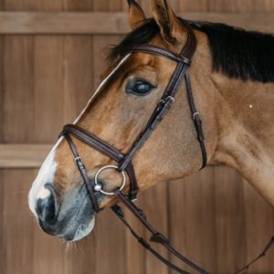 Dy'on New English Collection Plaited Flash Noseband Bridle